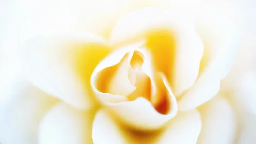 DSC03986